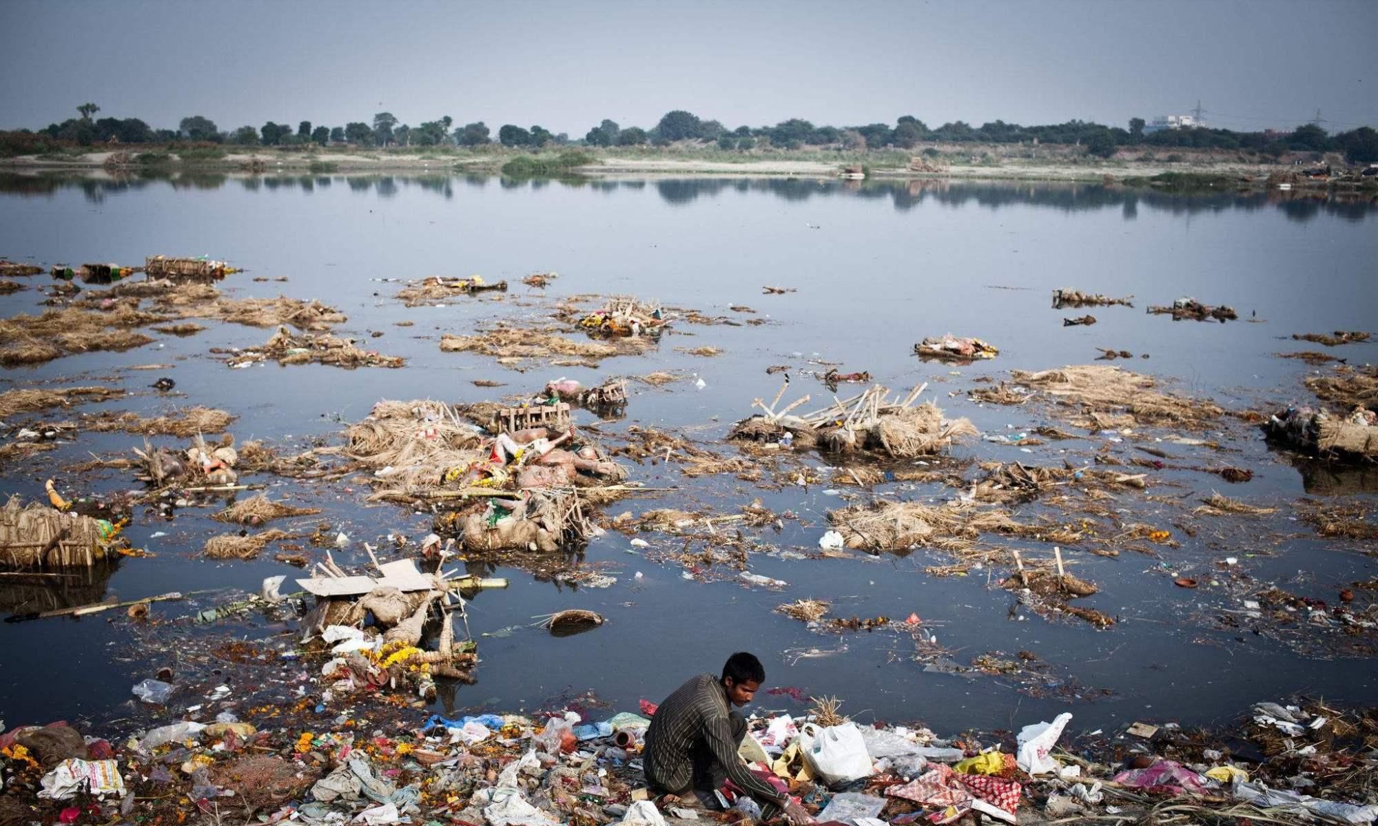 印度“圣河”鲶鱼泛滥成灾，竟还想卖给中国人，网友：当我们傻？