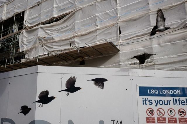 喜欢摄影的人最长寿?这话没毛病!