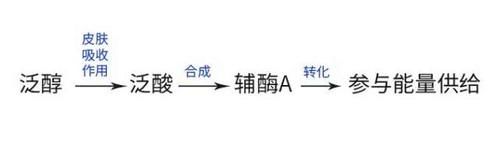  皮肤屏障@只有玻尿酸的补水效果才好？怕是忘了什么叫做“泛醇”
