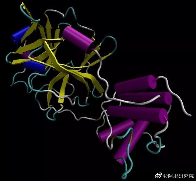  [全基因组检测分析平]疫情影响下 除了医疗科技还有这些方面让人眼前一亮