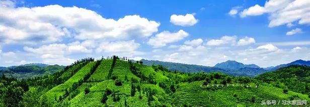 贵州居然要改名了！据说新名字是……