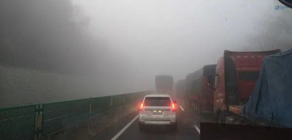  迷彩服■武汉华南海鲜市场附近，出现了一支上海来的“迷彩服小分队”