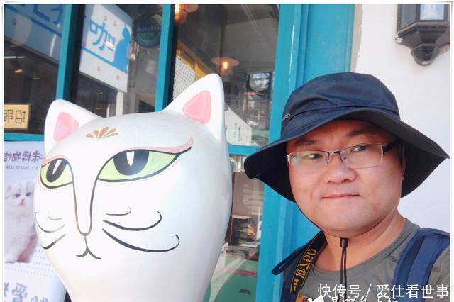 「鸽子」顶澳仔猫街撸猫、白鹭洲喂鸽子,厦门文艺之旅,去过才算没白来!