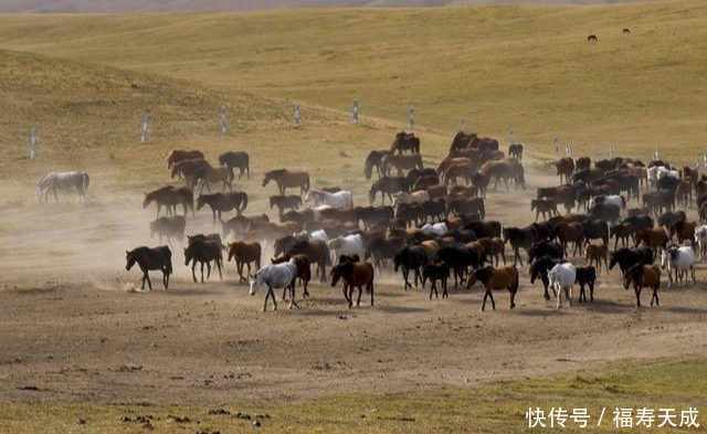 亚洲最大、世界第二大的军马场，竟是霍去病征战匈奴时发现的