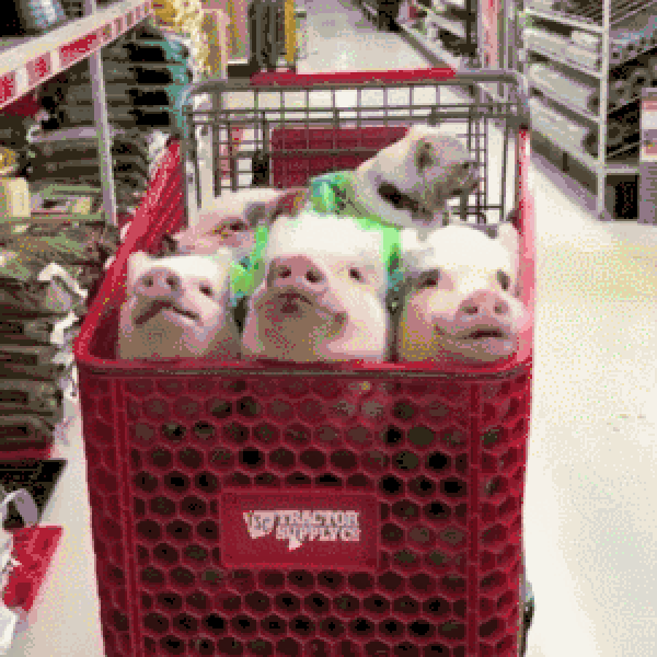 轻晒单#海淘种草记#话题征集:晒出你的海淘好物，精美礼物送送送!