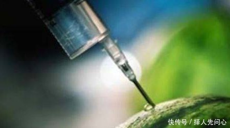 农田西瓜全部在地里炸开,农民大叔心急如焚,知道真相恍然大悟！