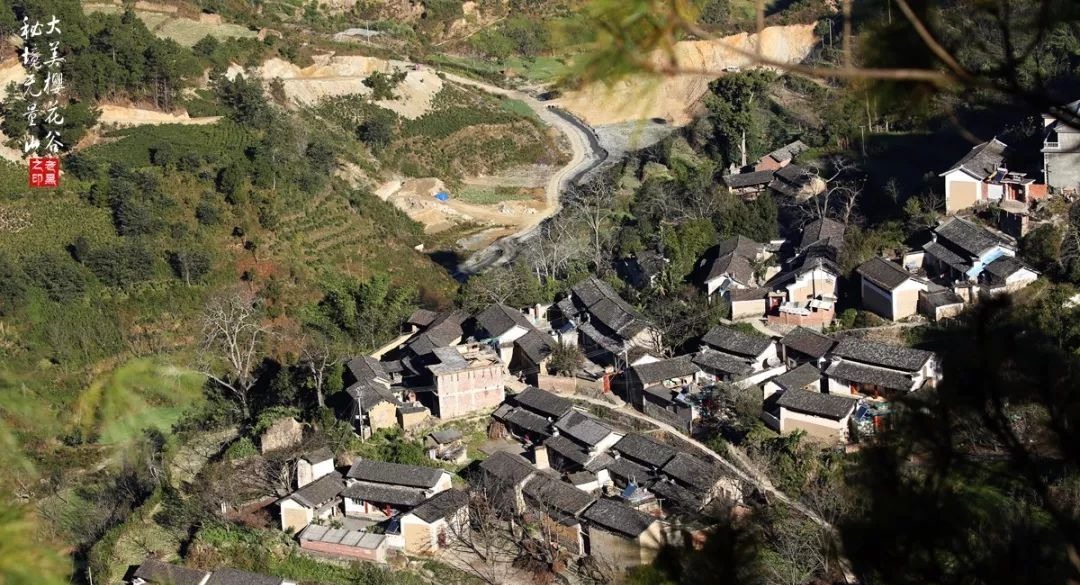 大美无量丨樱花谷的樱花又开了，未来20天，赏花正当时