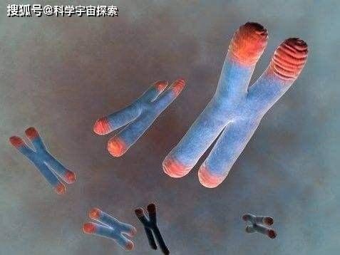 公式@人类的极限寿命是多少岁科学家用3个公式,算出人类寿命极限值