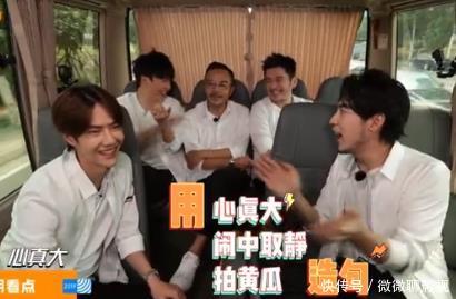 王一博是哪里帅了