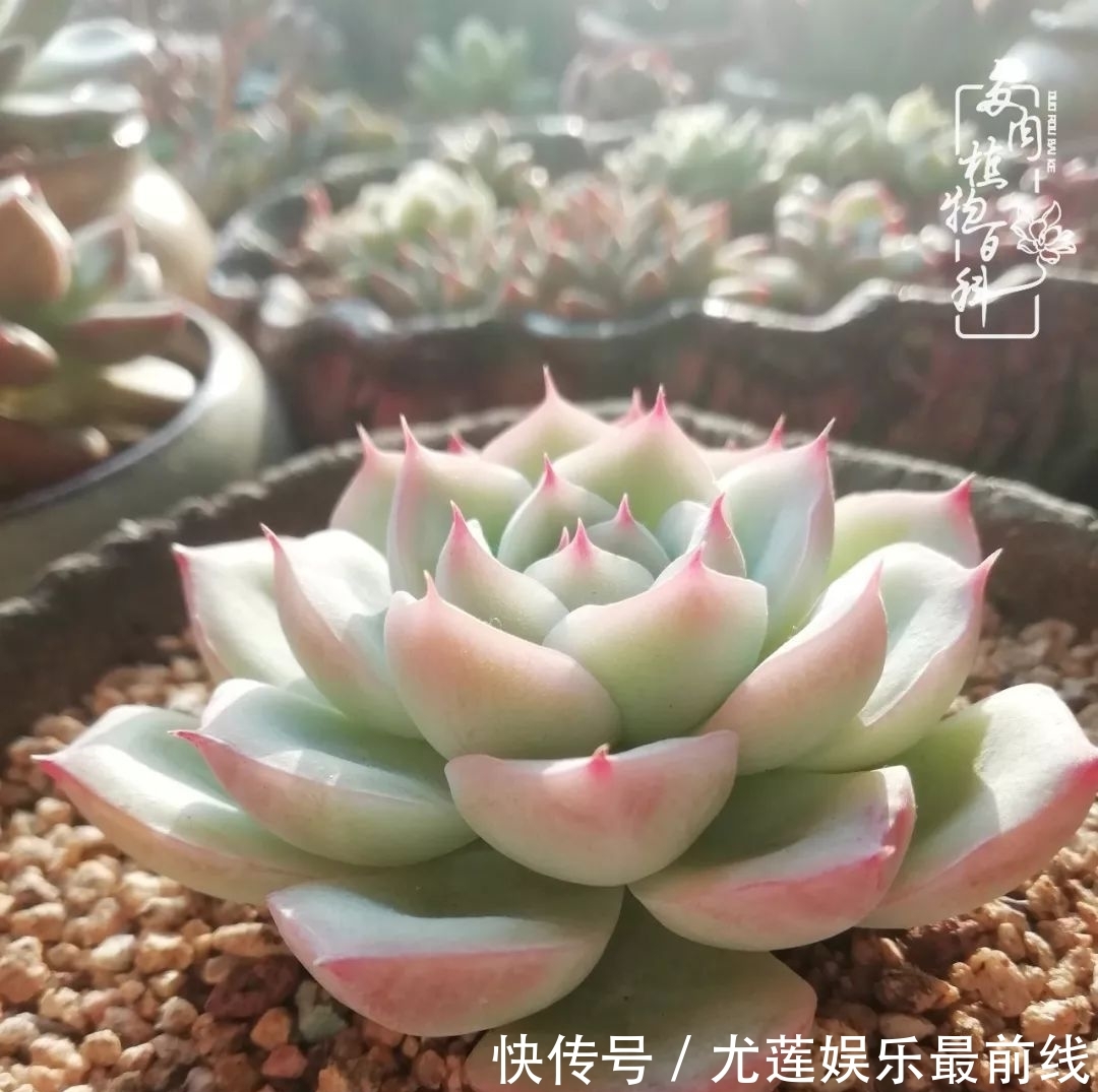 『那种』我爱的,就是你的存在!只要努力该来的都在路上!