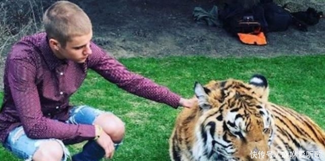 大部分欧美■北美小天王的2次起飞,中国,会是贾斯汀比伯再度辉煌的福地吗?