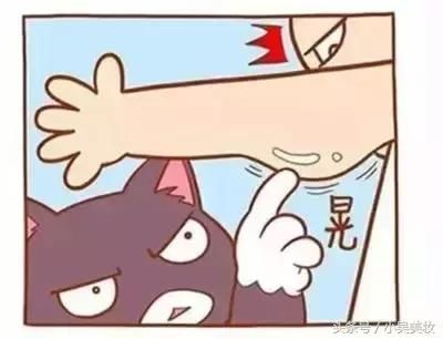 就你这样的拜拜肉还想穿吊带？得了吧！你还是穿个短袖过夏天吧！