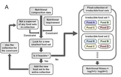 猪油被列为十大最营养食物?BBC又在散播谣言了……
