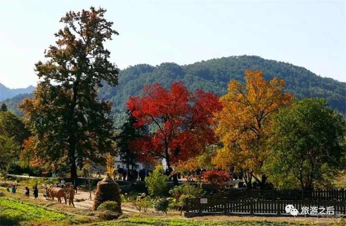 皖南的塔川,秋天的骄傲,极美的色彩天堂