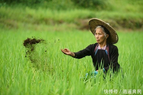  [农民]今年起，农民土地被征收，补偿标准“取消上限”，意味着