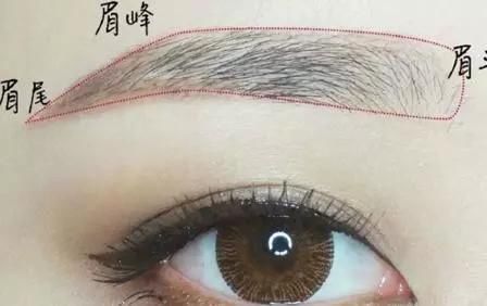 还在慢吞吞的画眉毛么？教你正确的画眉方法，圆脸也能画成瓜子脸
