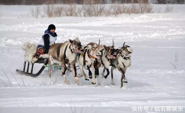 以为看极光又贵又远吗？就在中国不远处，全球看极光最便宜的地方