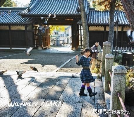  「祈福的灯笼」DAY2日本深度自由行之大阪都门奈良城崎旅行日记