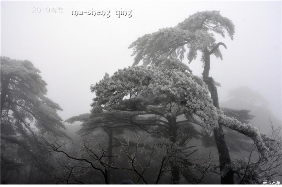 2019春节自驾 游黄山