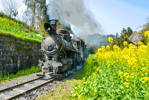 3月最值得去的国内旅行地,有2个很多人没听说过,却有绝美花海!