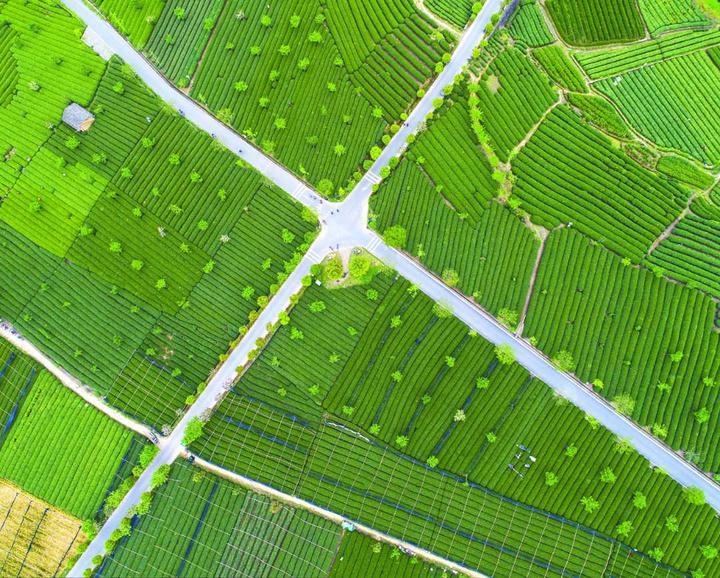 省委书记车俊为松阳问诊把脉、加油鼓劲 松阳干部群众反响热烈