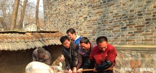 未来五年内，这4类“铁饭碗”职业，将面临下岗的结局！