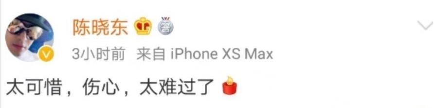 艺人发文高以翔