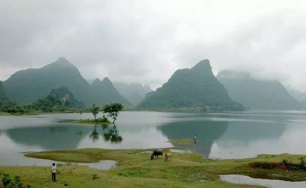 广西十多个县获“自治区级生态县”称号，点进来看有没有你家乡!