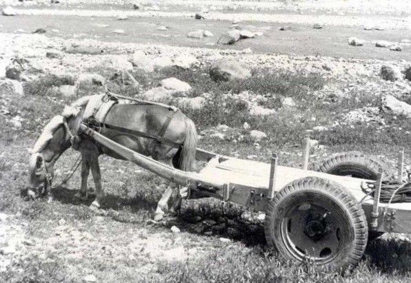 老照片:一组70年代的韩国农村生活照，太珍贵了!