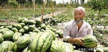  「当地人」沙漠盛产的这水果, 当地人曾发愁要怎么卖出去, 如今