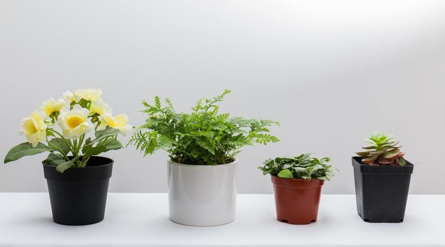 酱油变黑、酸儿辣女中过几个?孕期禁忌那些小迷信你信吗?