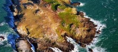 英国一座最臭的岛屿，上面生活着7亿只海鸟，每年产生2千吨鸟粪