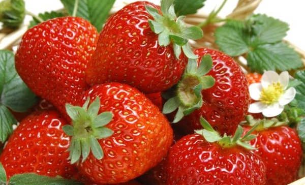  【营养】草莓的美味吃法有哪些？搭配吃草莓好吃又营养