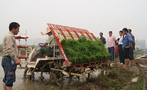  「汽车」若干年后这三样很有价值，每个村庄和农民都有，并非是