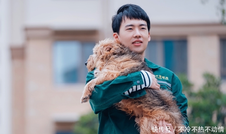 电影宠爱的票房现在是多少