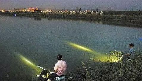 【钓法】夜钓鲤鱼,真的不用吹,这套钓法最管用,大鲤鱼接连入护