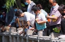  等级■“五一”山东天气晴好最高温35℃，森林火险等级处于最高级！