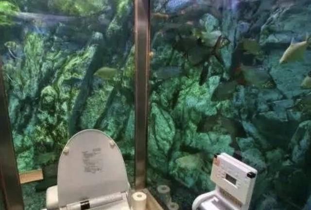 餐厅花上百万让顾客边上厕所边赏鱼 顾客数猛增却愁坏老板