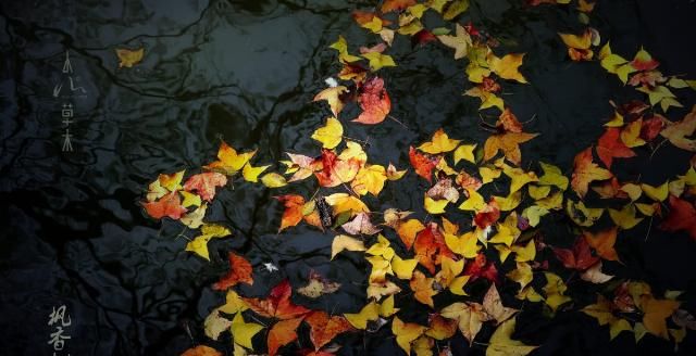 东南佛国天童寺:赴一场人与自然的对话