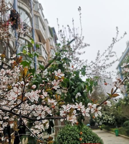  「记得」春日来“信”③ | “醉”美人间四月天 图末有彩蛋记得看哦