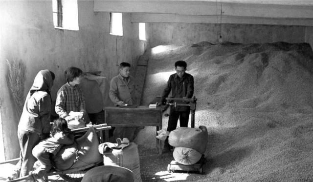  扛去■上世纪农村缴纳公粮真实老照片，公粮堆成山，农民肩挑背