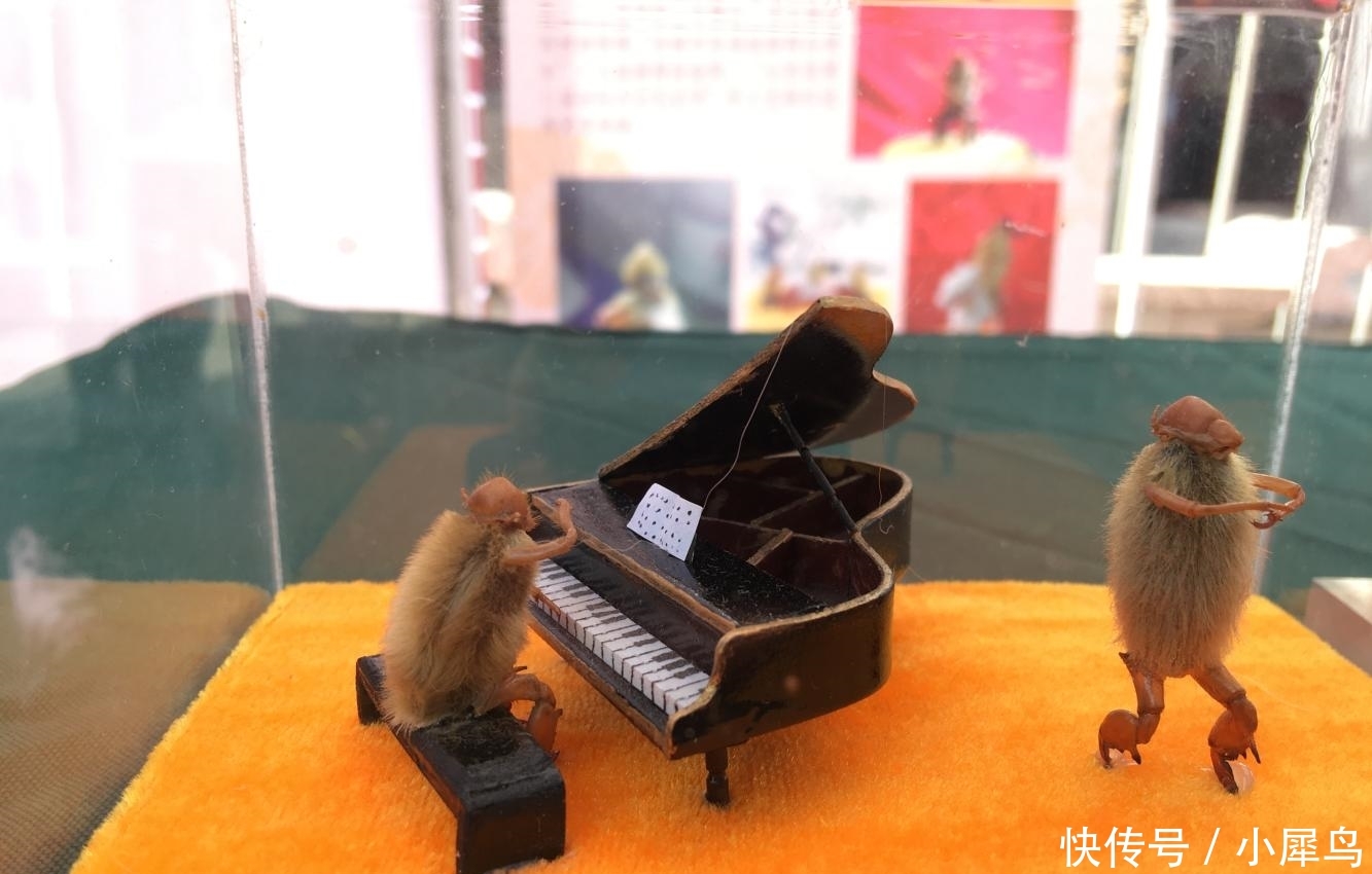 山东大叔用蝉蜕皮做“毛猴” 单个售价上百元却不售卖