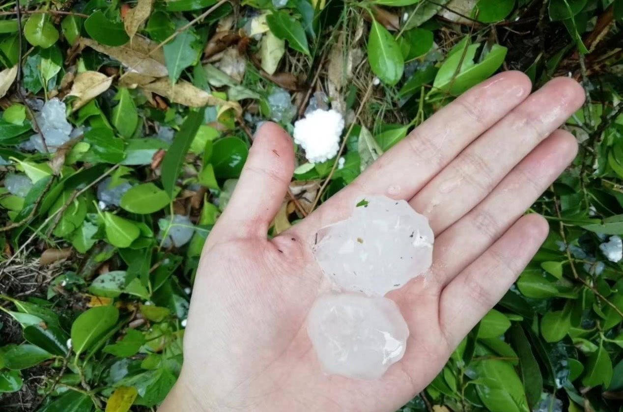 北上广深苏成南暴雨暴雪暴风下冰雹，网友不知哪位道友在渡劫