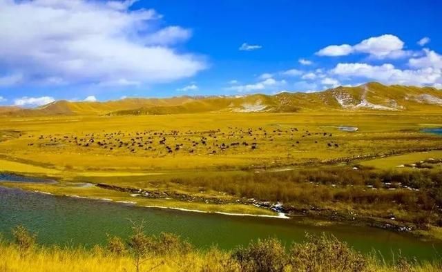 这才是四川最美7大景点，景美人还少，去过5个的都是老司机！