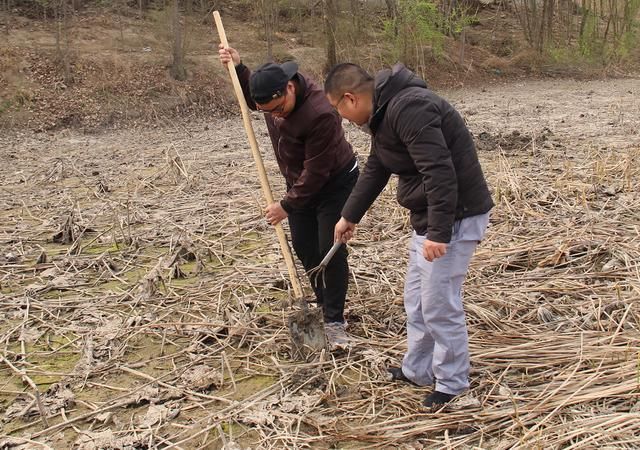  「发现」农村小伙淤泥里发现“它”，真是意外之喜，收获颇丰啊