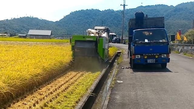 小伙发明“背式”插秧机，一个小时插秧2亩地，成本200元