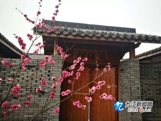 知否？知否？山水武宁梅花绽放，暗香浮动惹人醉