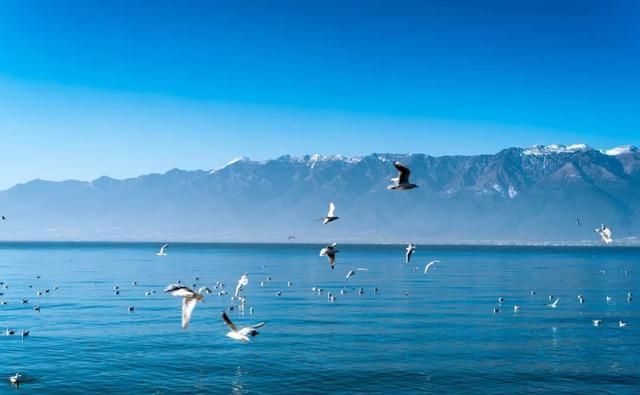 《国家地理》排名前15，被无数人向往的国内景点，你去过几个？