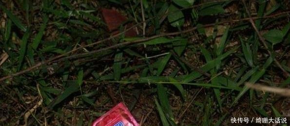 看到这样的川藏线风景, 你还会那么激动吗