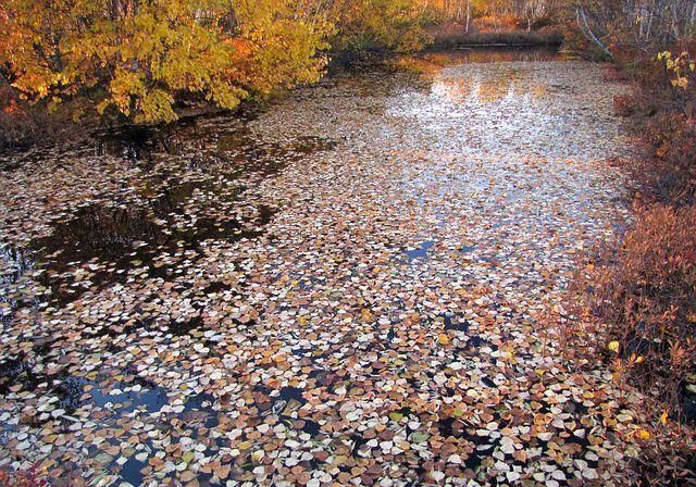 比青岛慢,比厦门小清新,广东这座小城不出名却是拍照胜地